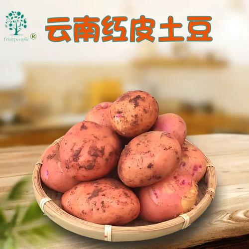 四川洋芋厂家,品牌,图片,热帖